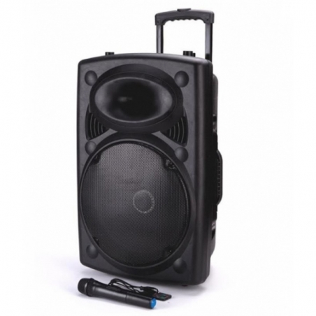 Mosna-karaoke-tonkolona-MBA-F-15E-s-vgraden-usilvatel-15-inca-s-2-bezzicni-mikrofona-i-bluetooth-mosnost-250W-wld_F-15E