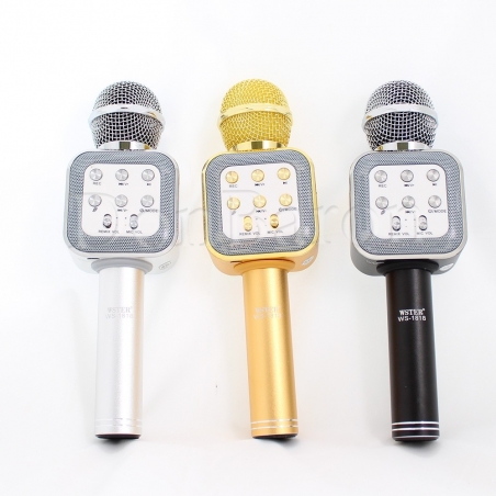 Karaoke-mikrofon-4-v-1-WSTER-WS-1818-s-vgradena-tonkolona-wld-WS-1818