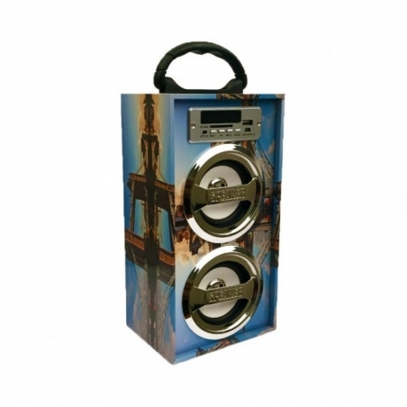 Prenosima-mini-tonkolona-KC-55-Speaker-s-BLUETOOTH-RADIO-SD-USB-port-i-svetlinni-efekti-KC-55