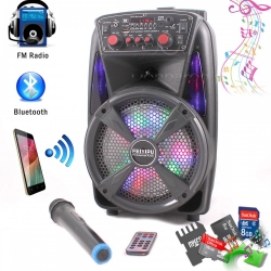 Feiyipu-ES-86-Aktivna-tonkolona-s-LED-svetlini-bezzicen-mikrofon-i-distanconno-8-300W-Bluetooth-FM-Radio-SD-cards-sha_ES-86