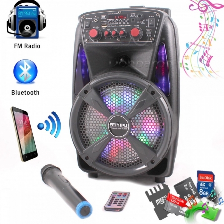 Feiyipu-ES-86-Aktivna-tonkolona-s-LED-svetlini-bezzicen-mikrofon-i-distanconno-8-300W-Bluetooth-FM-Radio-SD-cards-sha_ES-86