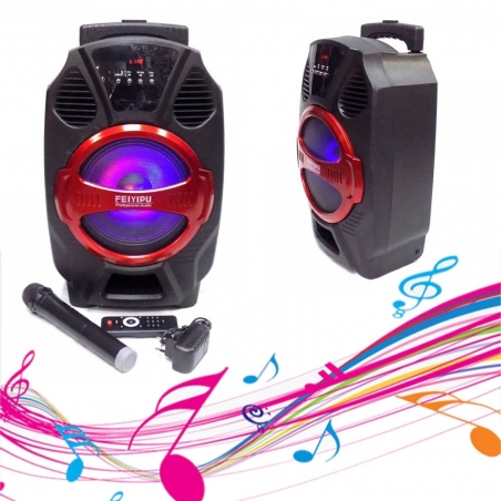 Mosna-tonkolona-FEIYIPU-R-8-s-Bluetooth-bezzicen-mikrofon-USB-radio-i-svetlinni-efekti-wld_R-8