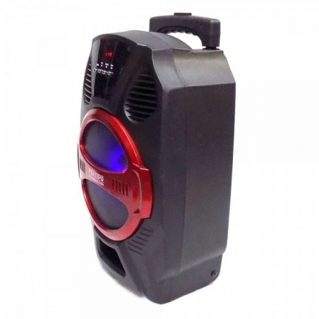 Mosna-tonkolona-FEIYIPU-R-8-s-Bluetooth-bezzicen-mikrofon-USB-radio-i-svetlinni-efekti-wld_R-8