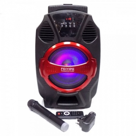 Mosna-tonkolona-FEIYIPU-R-8-s-Bluetooth-bezzicen-mikrofon-USB-radio-i-svetlinni-efekti-wld_R-8