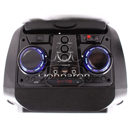 MBA-SA-1400-12-Prenosima-Bluetooth-Karaoke-tonkolona-s-2-mikrofona-i-cvetomuzika-wld_SA-1400
