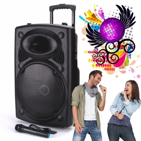 Mosna-karaoke-tonkolona-EOLUTION-BT12A-s-vgraden-usilvatel-12-inca-s-2-bezzicni-mikrofona-i-bluetooth-mosnost-200-W-wld_BT12A