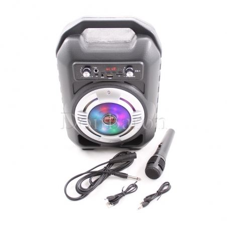 Prenosima-Bluetooth-Karaoke-tonkolona-s-mikrofon-i-cvetomuzika-CS-1-wld_CS-1