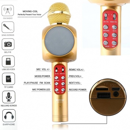Karaoke-mikrofon-s-vgradena-tonkolona-bluetooth-i-funkcia-za-promana-na-glasa-WSTER-WS-1816-wld_WS-1816