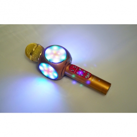 Karaoke-mikrofon-s-vgradena-tonkolona-bluetooth-i-funkcia-za-promana-na-glasa-WSTER-WS-1816-wld_WS-1816