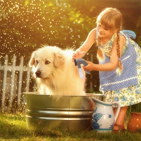 Cetka-za-vakuumno-otstranavane-na-kosmi-Shed-Pal-3353