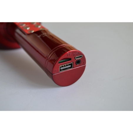 Karaoke-mikrofon-s-vgradena-tonkolona-bluetooth-i-funkcia-za-promana-na-glasa-WSTER-WS-1816-wld_WS-1816