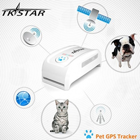 GPS-traker-za-domasni-lubimci-Tkstar-4277