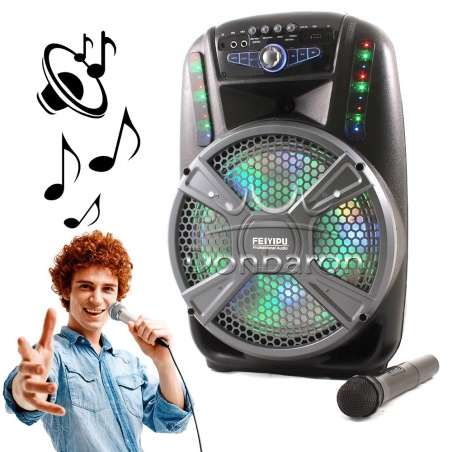 Feiyipu-ES-12-12-Prenosima-Bluetooth-Karaoke-tonkolona-s-bezzicen-mikrofon-cvetomuzika-i-digitalen-displej-wld_ES-12