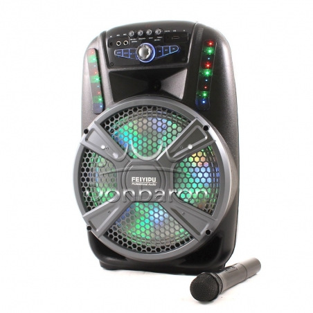 Feiyipu-ES-12-12-Prenosima-Bluetooth-Karaoke-tonkolona-s-bezzicen-mikrofon-cvetomuzika-i-digitalen-displej-wld_ES-12