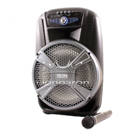 Feiyipu-ES-12-12-Prenosima-Bluetooth-Karaoke-tonkolona-s-bezzicen-mikrofon-cvetomuzika-i-digitalen-displej-wld_ES-12