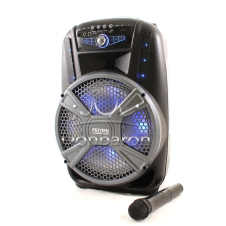 Feiyipu-ES-12-12-Prenosima-Bluetooth-Karaoke-tonkolona-s-bezzicen-mikrofon-cvetomuzika-i-digitalen-displej-wld_ES-12