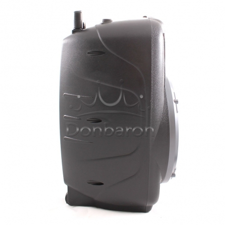 Feiyipu-ES-12-12-Prenosima-Bluetooth-Karaoke-tonkolona-s-bezzicen-mikrofon-cvetomuzika-i-digitalen-displej-wld_ES-12