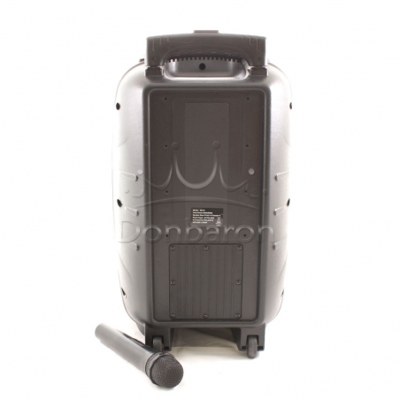 Feiyipu-ES-12-12-Prenosima-Bluetooth-Karaoke-tonkolona-s-bezzicen-mikrofon-cvetomuzika-i-digitalen-displej-wld_ES-12