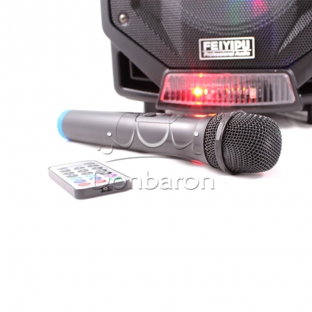 Prenosima-Bluetooth-Karaoke-tonkolona-s-mikrofon-i-cvetomuzika-FEIYIPU-ES-85-wld_ES-85