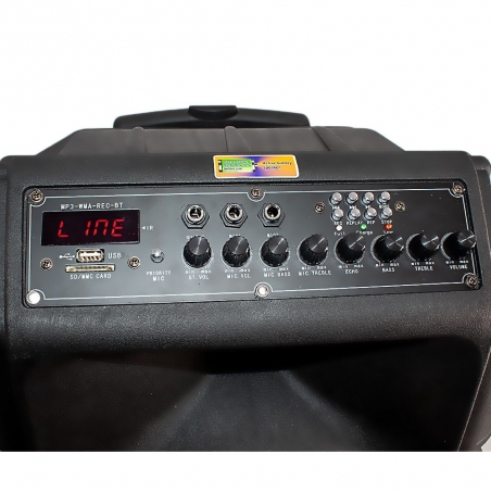 Aktivna-karaoke-tonkolona-MBA-SA-89008800-15-inca-s-dva-bezzicni-mikrofona-_SA-8900