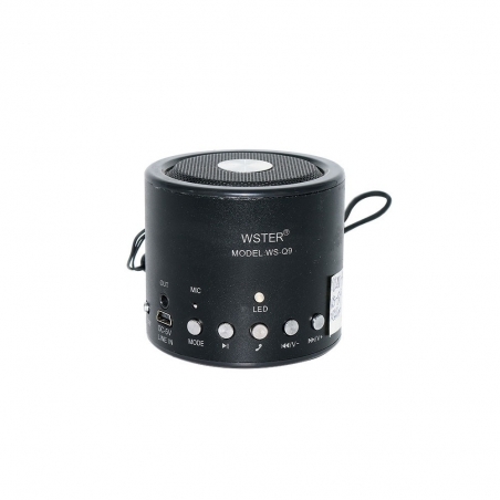 Bezzicna-Wireless-USB-Radio-MP3-AUX-mini-tonkolonka-WS-Q9-wld_WS-Q9