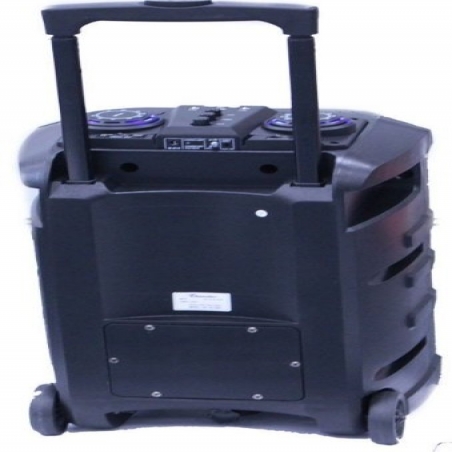 Mosna-tonkolona-200W-12-prenosima-s-LED-displej-i-dva-bezzicni-mikrofona-za-karaoke-MLDTThunder
