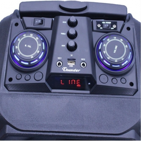 Mosna-tonkolona-200W-12-prenosima-s-LED-displej-i-dva-bezzicni-mikrofona-za-karaoke-MLDTThunder