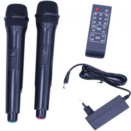 Mosna-tonkolona-200W-12-prenosima-s-LED-displej-i-dva-bezzicni-mikrofona-za-karaoke-MLDTThunder