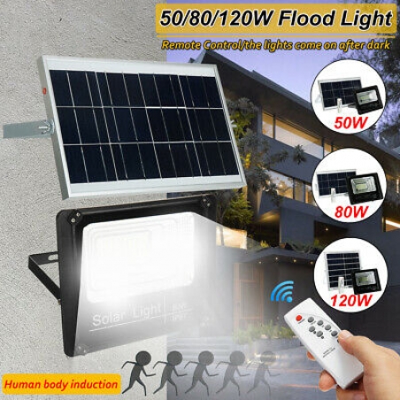 Solaren-LED-prozektor-5080120W-s-otdelen-panel-i-distancionno-upravlenie-S83484950