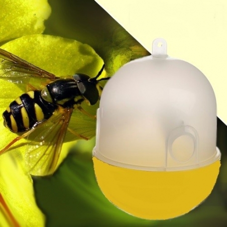 Kapan-za-muhi-osi-i-letasi-nasekomi-J-WASPTRAP