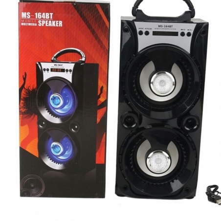 Prenosima-aktivna-tonkolona-MS-164BT-s-usilvatel-i-blutut-MS-164BT