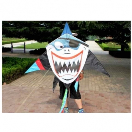 Upravlaemo-hvrcilo-s-unikalen-dizajn-Kite