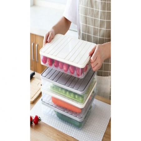 Kutii-za-hladilnik-2918