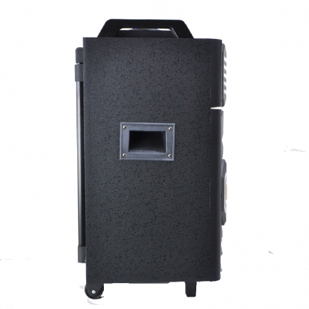 LIKVIDACIA-karaoke-tonkolona-12-inca-MBA-WH1112-330W-RMS-150W-disko-LED-svetlini-3719