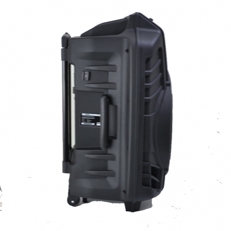 Kompaktna-i-super-mosna-aktivna-karaoke-tonkolona-15-inca-MBA-SA8900-800W-3718