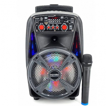 Kompaktna-aktivna-akumulatorna-karaoke-sistema-FEIYIPU-ES-86-8-inch-300W-max-1-mikrofon-4831