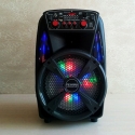 Kompaktna-aktivna-akumulatorna-karaoke-sistema-FEIYIPU-ES-86-8-inch-300W-max-1-mikrofon-4831