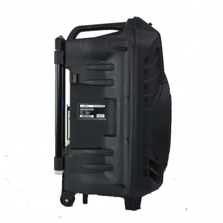 Kompaktna-i-super-mosna-aktivna-karaoke-tonkolona-15-inca-MBA-SA8800-650W-3726