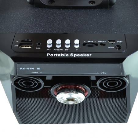 Prenosima-i-super-mosna-HiFi-karaoke-tonkolona-ss-svetlinni-efekti-RX-S54-2x50W-3745