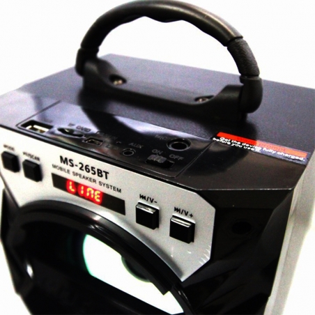 Mosna-kompaktna-aktivna-tonkolona-MS-268BT-USBTFAUXFMRadioBT-4-inch-RMS12W-4832