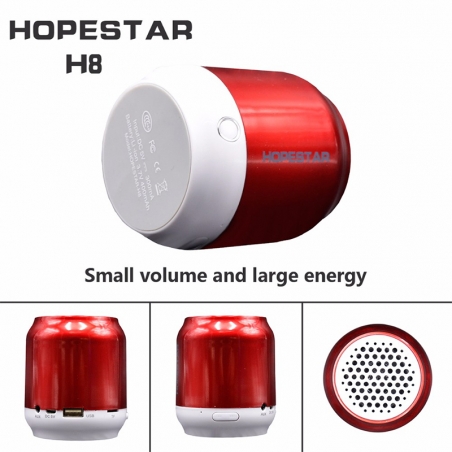 Portativna-Bluetooth-tonkolonka-HOPESTAR-H8-MP3-FM-SD-card-3782
