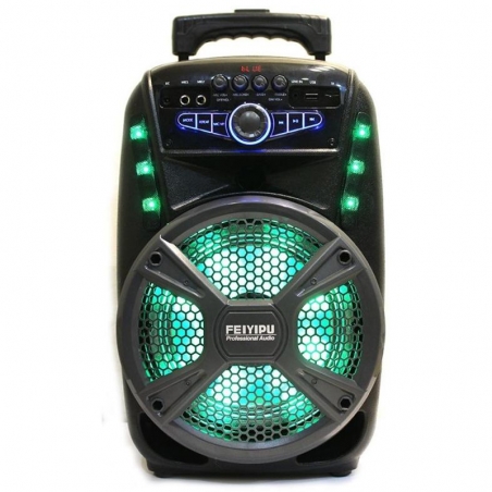 Kompaktna-aktivna-akumulatorna-karaoke-sistema-FEIYIPU-ES-81-8-inch-300W-max-1-mikrofon-5178