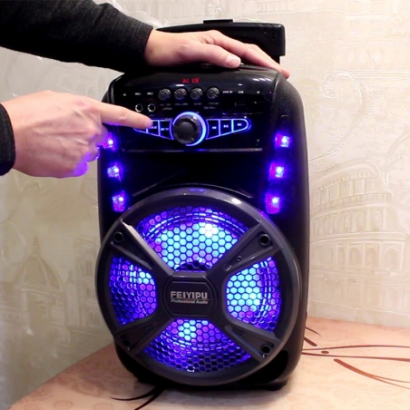 Kompaktna-aktivna-akumulatorna-karaoke-sistema-FEIYIPU-ES-81-8-inch-300W-max-1-mikrofon-5178