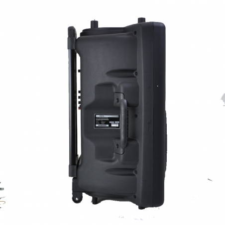 Aktivna-karaoke-tonkolona-15-inca-MBA-F15W-500W-3722