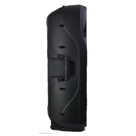 Aktivna-karaoke-tonkolona-2x15-inca-MBA-SA8802-3720