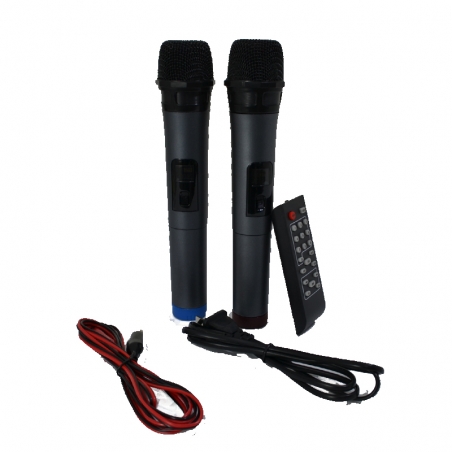 Aktivna-karaoke-tonkolona-2x15-inca-MBA-SA8802-3720