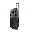 Mosna-aktivna-karaoke-sistema-MBA-F12-500W-160W-RMS-s-2-bezzicni-mikrofona-233