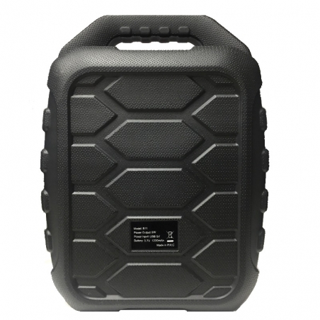 Mosna-udaro-i-vlagoustojciva-karaoke-tonkolona-B11-BLUETOOTH-4132