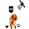Чрез GPS Positioner с Real Time карта за проследяване никога няма да изгубите своя любимец