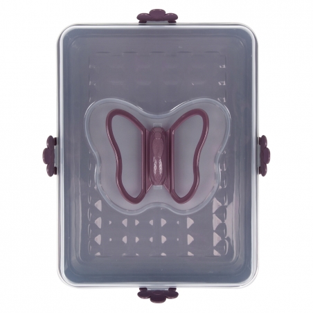 Kutia-za-sladkisi-s-kapak-peperuda-plastmasova-1170192